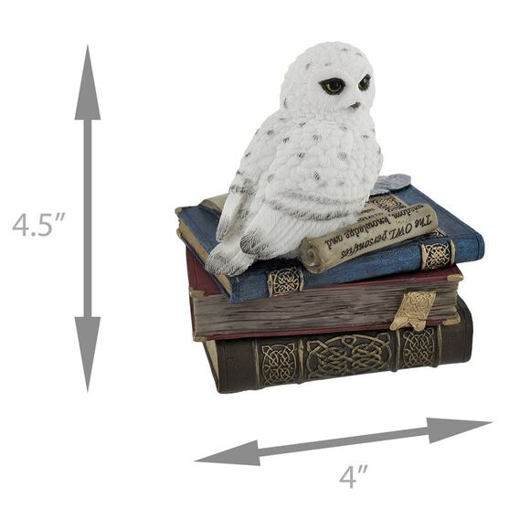 Wise Snow Owl Resting on Scholar`s Books Trinket Box - Picture 5 of 5